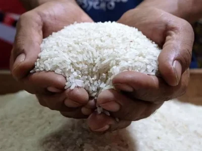 Harga Beras Tinggi Guncang Konsumen Meski Panen Memadai