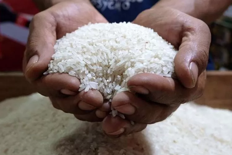 Harga Beras Tinggi Guncang Konsumen Meski Panen Memadai