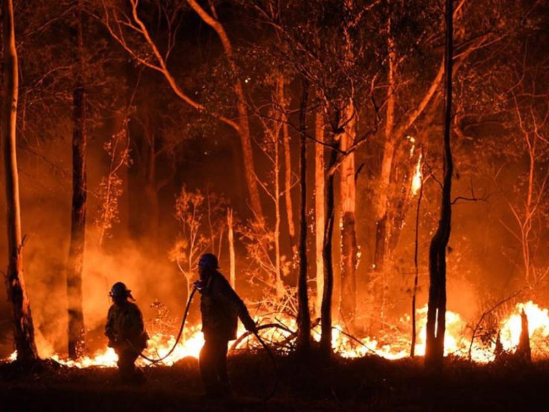 Kebakaran Hutan Melanda Australia: Ribuan Warga Di Evakuasi