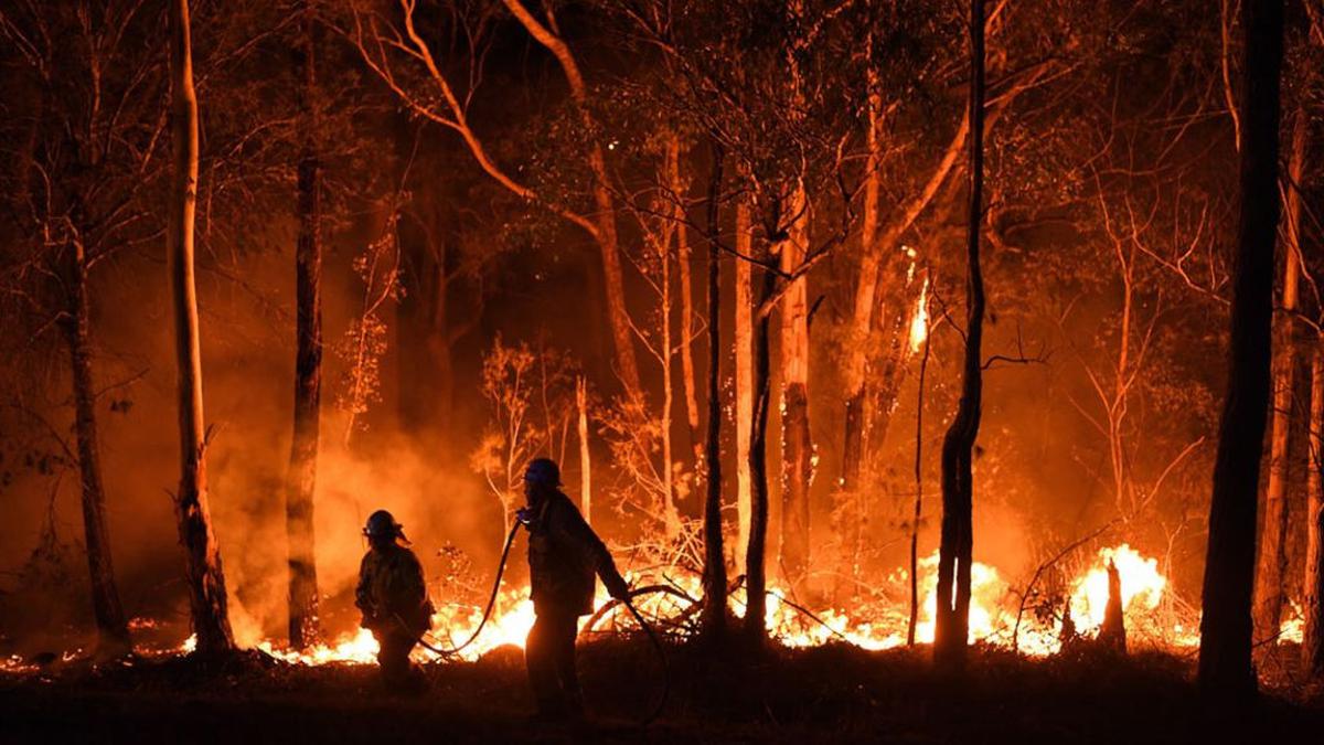 Kebakaran Hutan Melanda Australia: Ribuan Warga Di Evakuasi