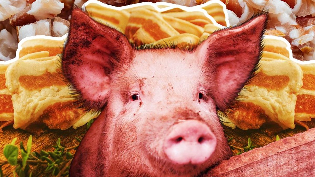 Wabah Demam Babi Afrika Guncang Pasokan Daging