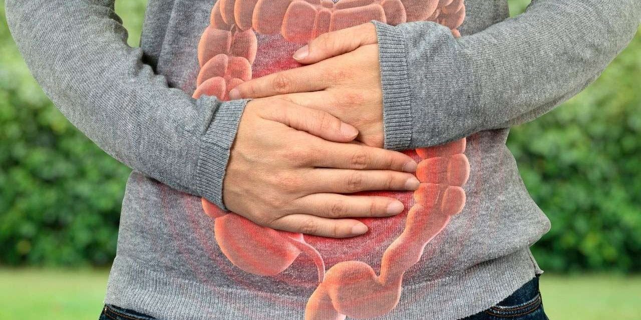 Makanan Populer Yang Merusak Kesehatan Usus Menurut Ahli