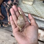 Kudapan Manis Sumba, Kenapa Manggulu Begitu Di Gemari?