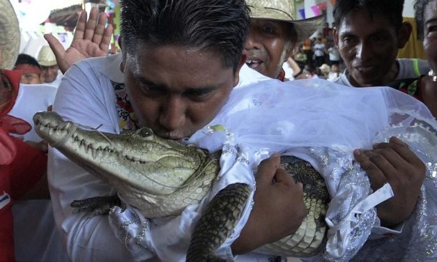 Unik! Walikota Meksiko Nikahi Buaya Betina Demi Kemakmuran
