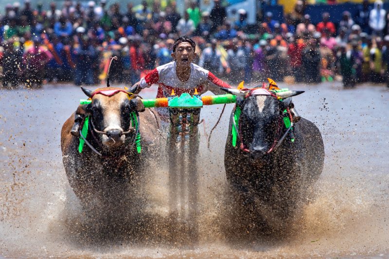 Festival Olahraga Tradisional