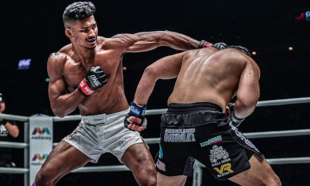 Mixed Martial Arts, Olahraga Pertarungan Yang Mendebarkan!