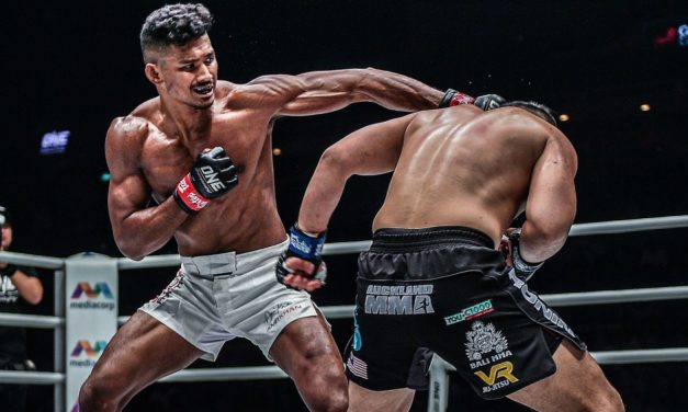 Mixed Martial Arts, Olahraga Pertarungan Yang Mendebarkan!