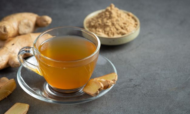 Sehat Alami, Rahasia Ramuan Herbal Penjaga Kesehatan Ginjal