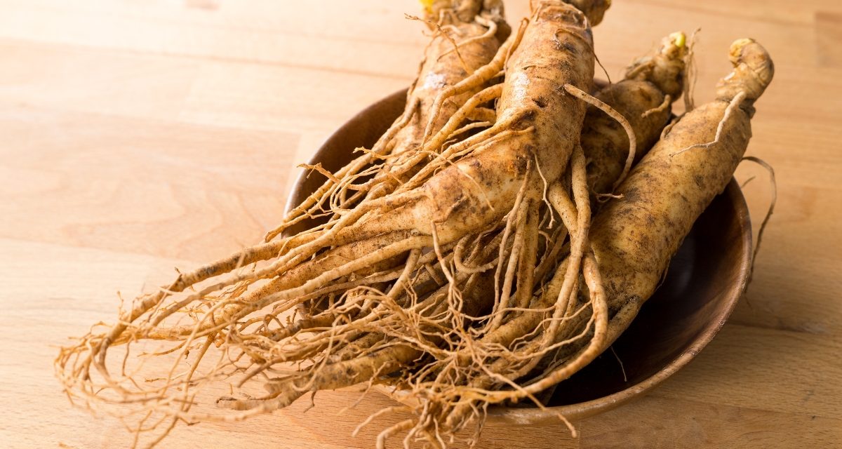 Ginseng, Kesehatan Dan Kesejahteraan Dari Tanaman Ajaib