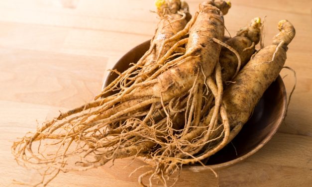 Ginseng, Kesehatan Dan Kesejahteraan Dari Tanaman Ajaib