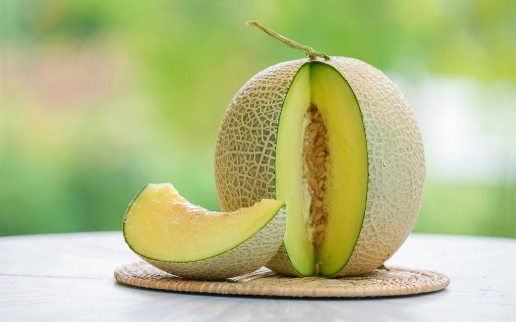 Melon Dengan Kandungan Air Tinggi Dan Kaya Nutrisi Penting