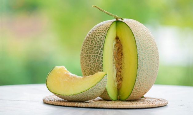 Melon Dengan Kandungan Air Tinggi Dan Kaya Nutrisi Penting