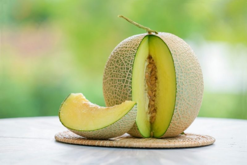 Melon Dengan Kandungan