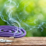 Bahaya Obat Nyamuk Bakar Bagi Saluran Pernapasan Kita