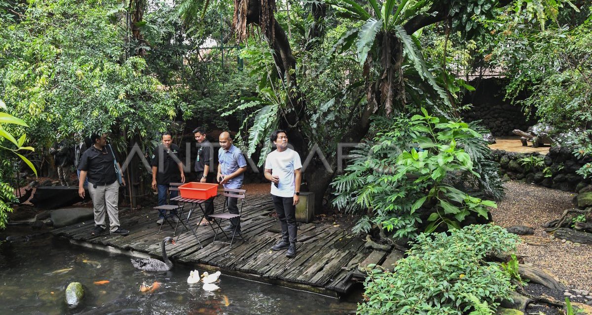 Fakta Menarik Dehakim Aviary Kawasan Konservasi Dan Edukasi