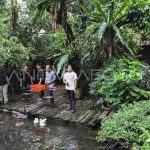 Fakta Menarik Dehakim Aviary Kawasan Konservasi Dan Edukasi