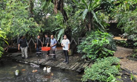 Fakta Menarik Dehakim Aviary Kawasan Konservasi Dan Edukasi