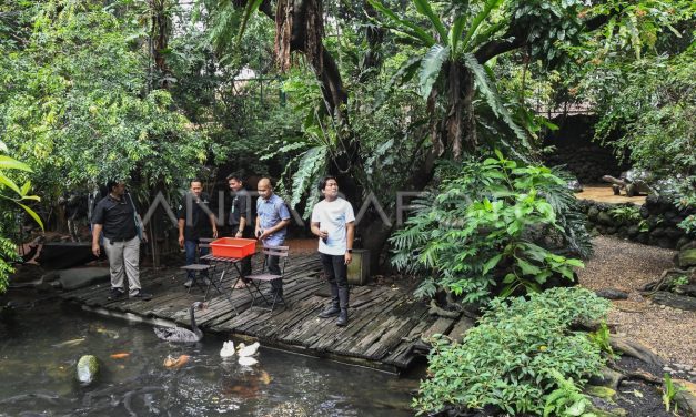 Fakta Menarik Dehakim Aviary Kawasan Konservasi Dan Edukasi