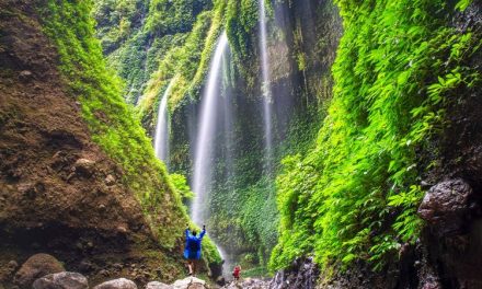Sejarah Air Terjun Madakaripura Pertapaan Terakhir Gajah Mada