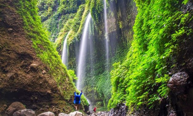 Sejarah Air Terjun Madakaripura Pertapaan Terakhir Gajah Mada